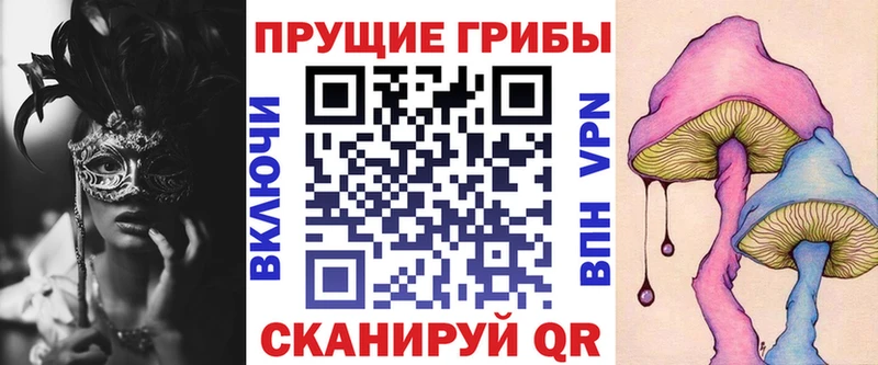 Купить где  Сясьстрой  Галлюциногенные грибы Psilocybine cubensis 