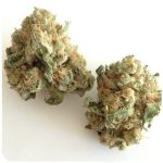 Шишки "White Widow"  (Белая вдова)  Гидропоника -  Бошка VHQ в Сясьстрое