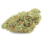 Шишки OG Kush  (Гидропоника, бошки) VHQ в Сясьстрое
